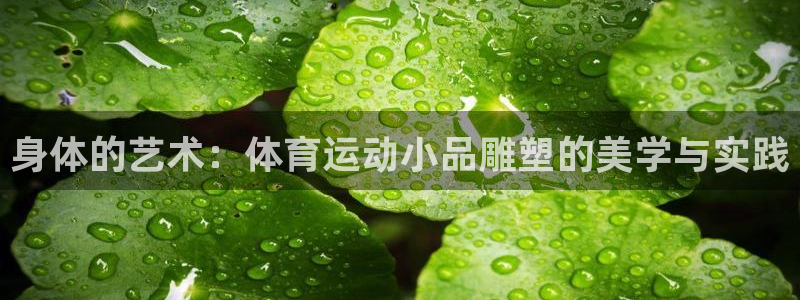 v站体育app下载安卓：身体的艺术：体育运动小品雕塑的美学与实践