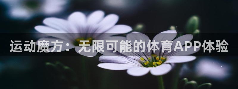 v站体育邀请码：运动魔方：无限可能的体育APP体验